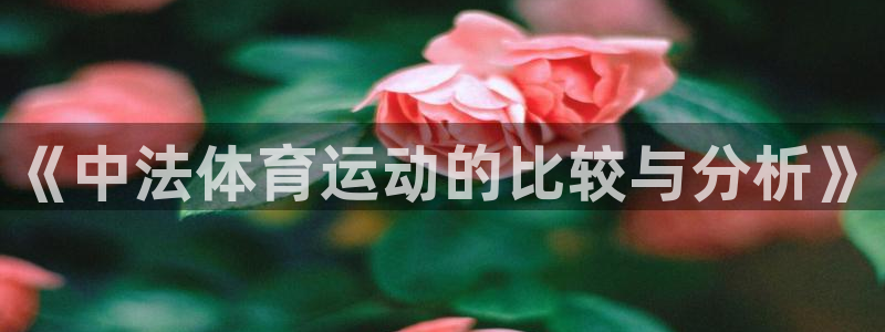 意昂总代：《中法体育运动的比较与分析》