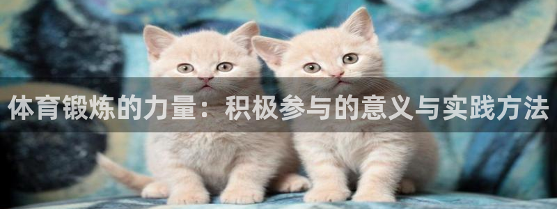 蓝图娱乐零能源集团：体育锻炼的力量：积极参与的意义与实践方法