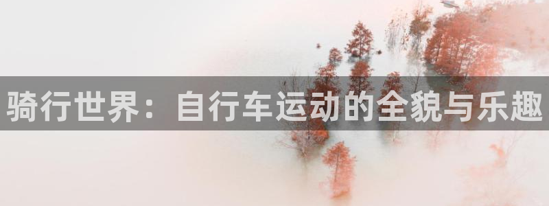 蓝图娱乐体育注册登录入口：骑行世界：自行车运动的全貌与乐趣