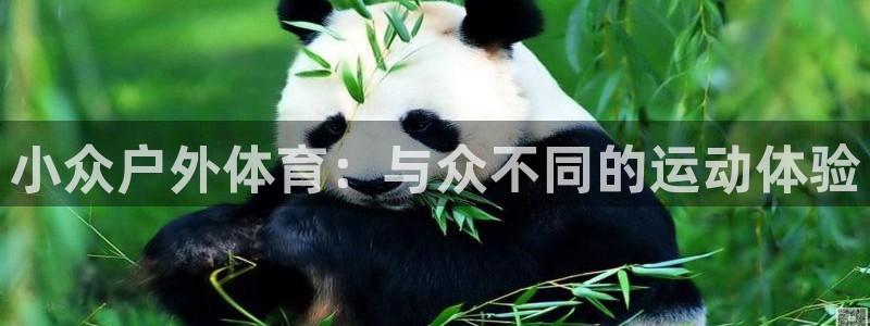意昂注册：小众户外体育：与众不同的运动体验