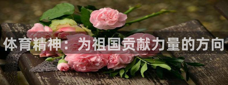 意昂3登录：体育精神：为祖国贡献力量的方向