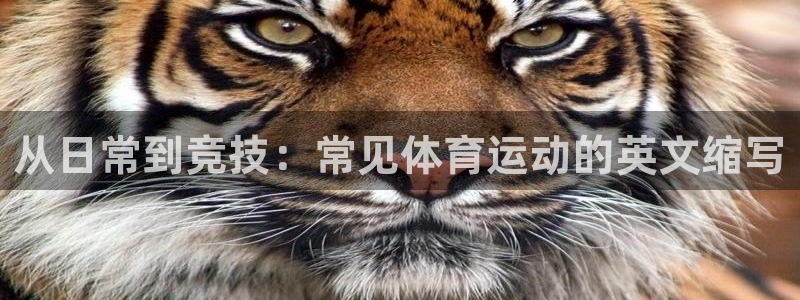 意昂官网：从日常到竞技：常见体育运动的英文缩写