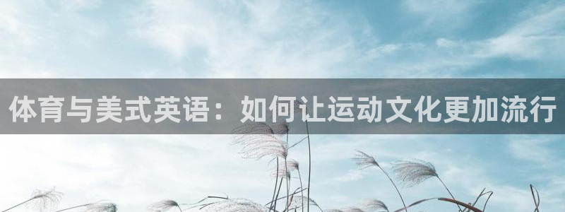 蓝图娱乐体育在线注册：体育与美式英语：如何让运动文化更加流行