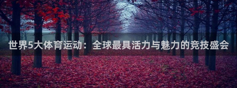 www.蓝图娱乐体育.com：世界5大体育运动：全球最具活力与魅力的竞技盛会