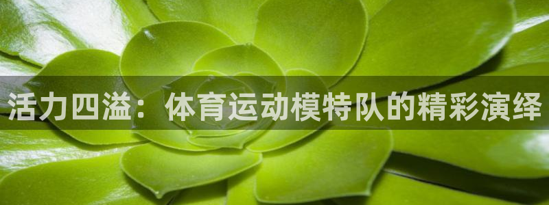 意昂是什么品牌：活力四溢：体育运动模特队的精彩演绎