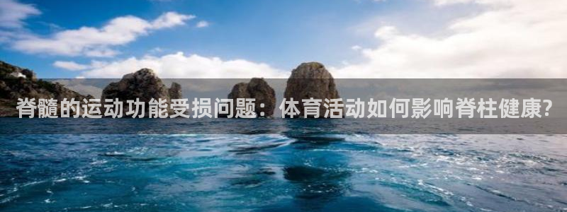 蓝图娱乐体育用品：脊髓的运动功能受损问题：体育活动如何影响脊柱健康?
