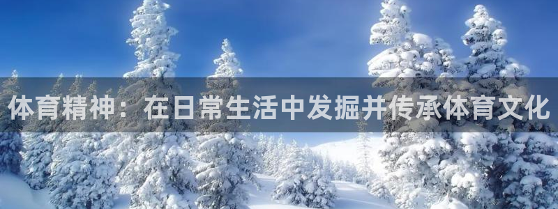 蓝图娱乐vk：体育精神：在日常生活中发掘并传承体育文化