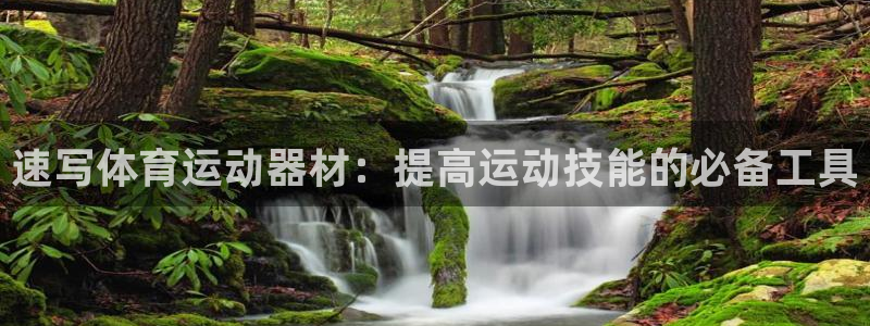 意昂招商：速写体育运动器材：提高运动技能的必备工具