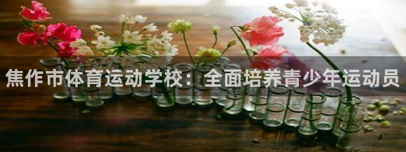 蓝图娱乐体育凯捷登陆：焦作市体育运动学校：全面培养青少年运动员