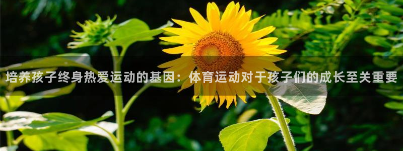 意昂4官网：培养孩子终身热爱运动的基因：体育运动对于孩子们的成长至关重要