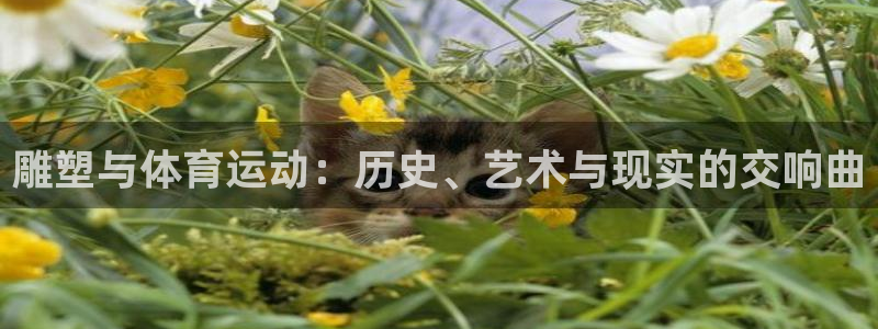 www.蓝图娱乐体育.com：雕塑与体育运动：历史、艺术与现实的交响曲