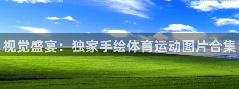 意昂代理：视觉盛宴：独家手绘体育运动图片合集