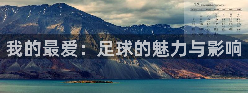 蓝图娱乐体育凯捷平台注册：我的最爱：足球的魅力与影响