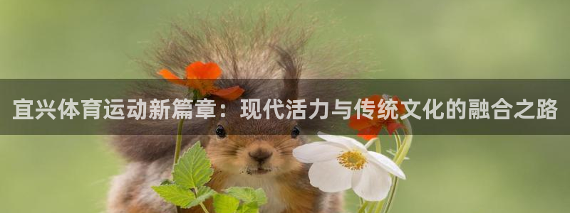 蓝图娱乐体育f开户：宜兴体育运动新篇章：现代活力与传统文化的融合之路