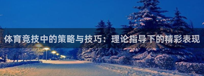 蓝图娱乐2平台登录：体育竞技中的策略与技巧：理论指导下的精彩表现