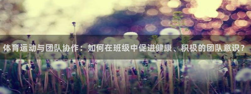 无锡意昂：体育运动与团队协作：如何在班级中促进健康、积极的团队意识？