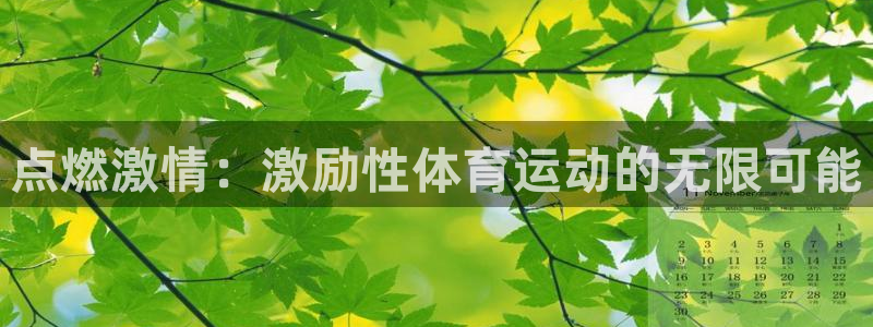 蓝图娱乐代理注册：点燃激情：激励性体育运动的无限可能
