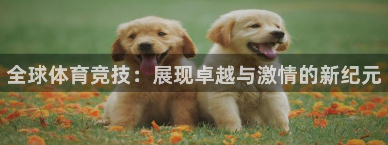 意昂集团股票：全球体育竞技：展现卓越与激情的新纪元